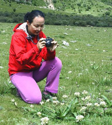 生药学教研室与西藏藏医收米直播